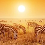 best time to visit africa